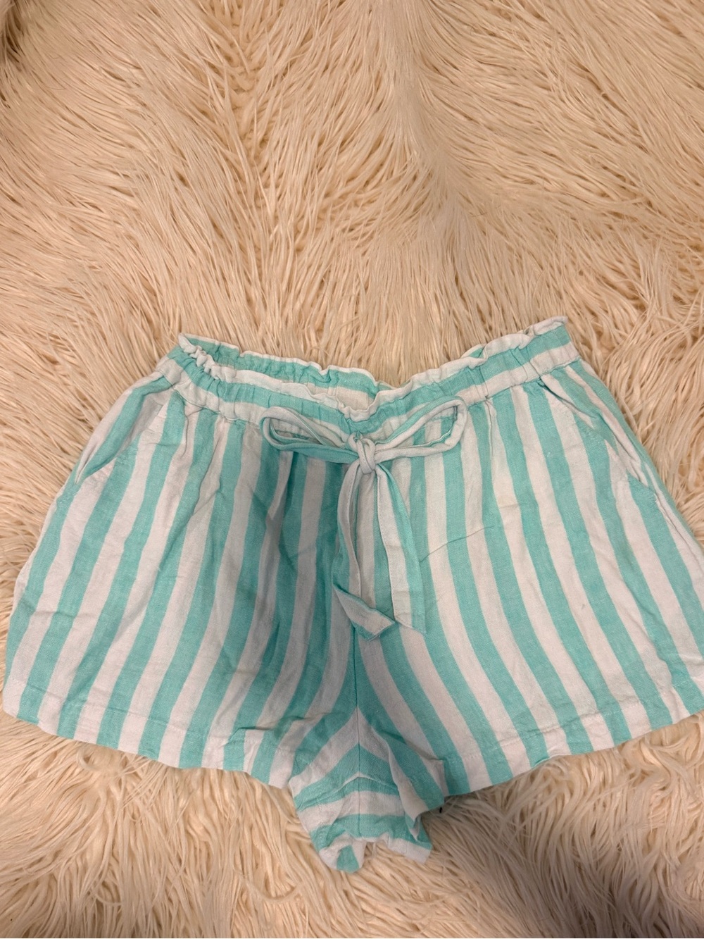 Stoney Clover x Target Mint Green Striped Linen Shorts